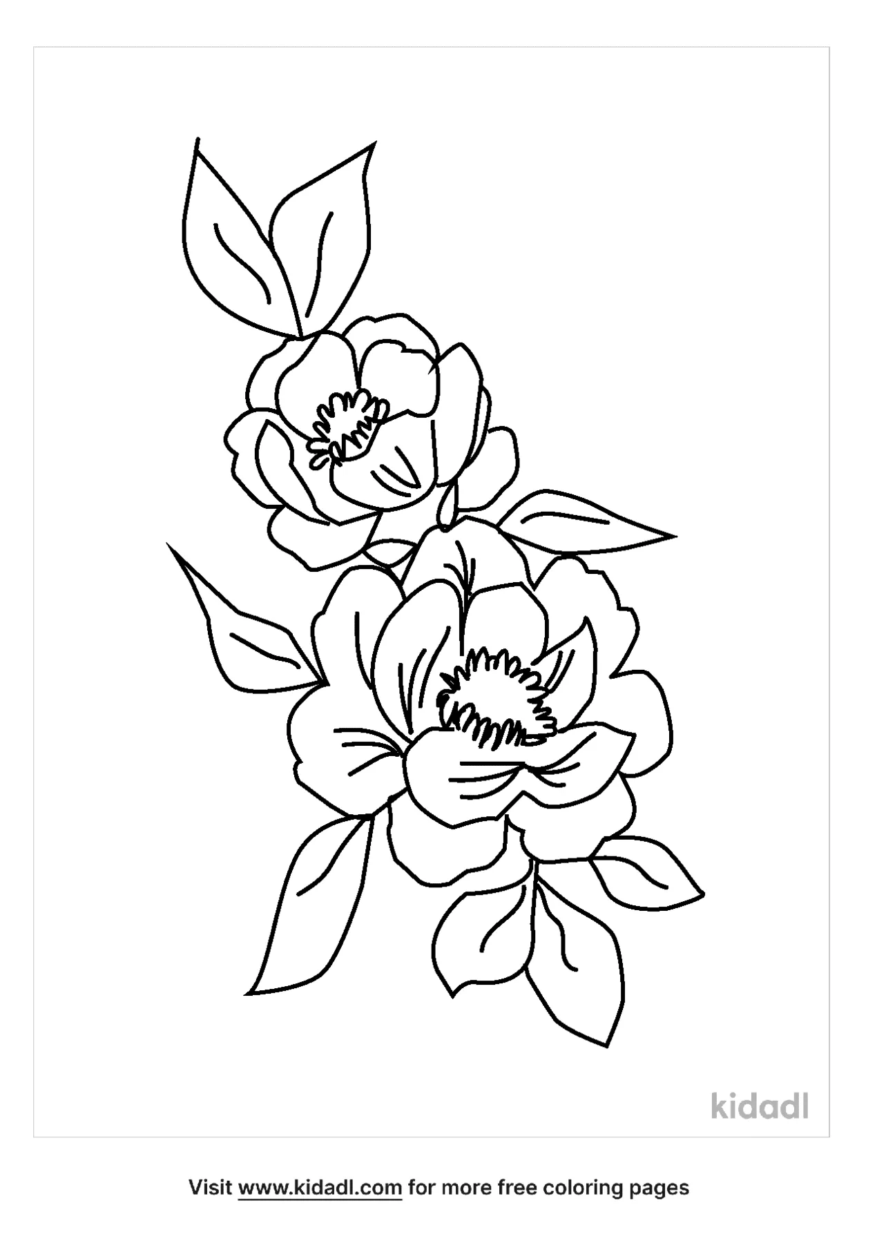 Free charisma floribunda rose coloring page coloring page printables