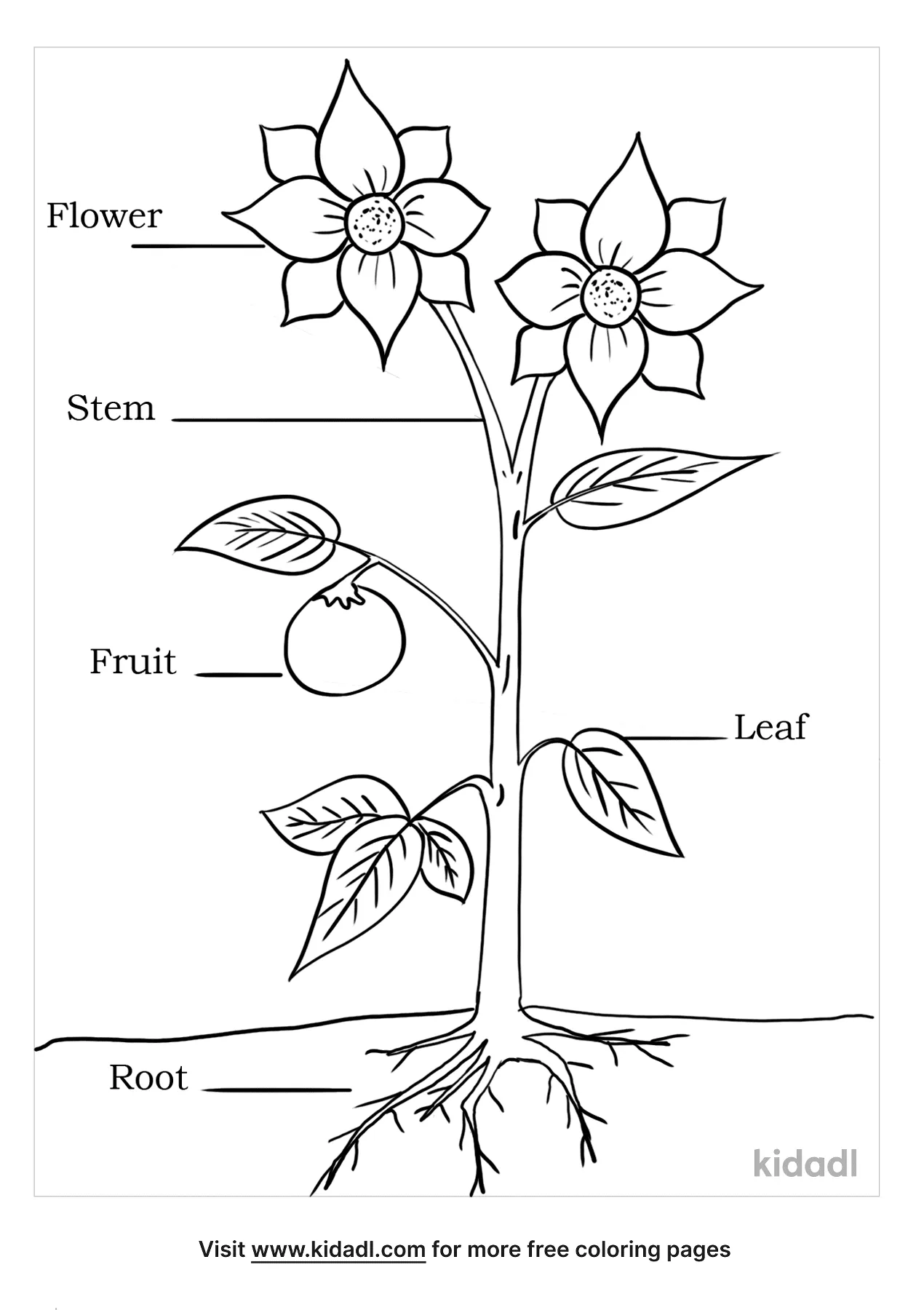Free parts of a flower coloring page coloring page printables