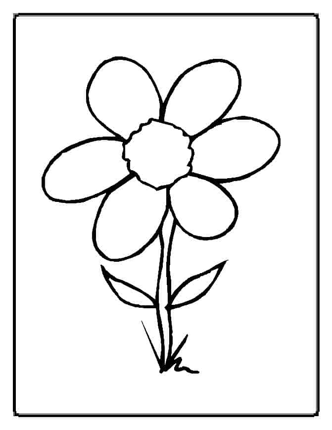 Entertain your kids with more than flower coloring pages