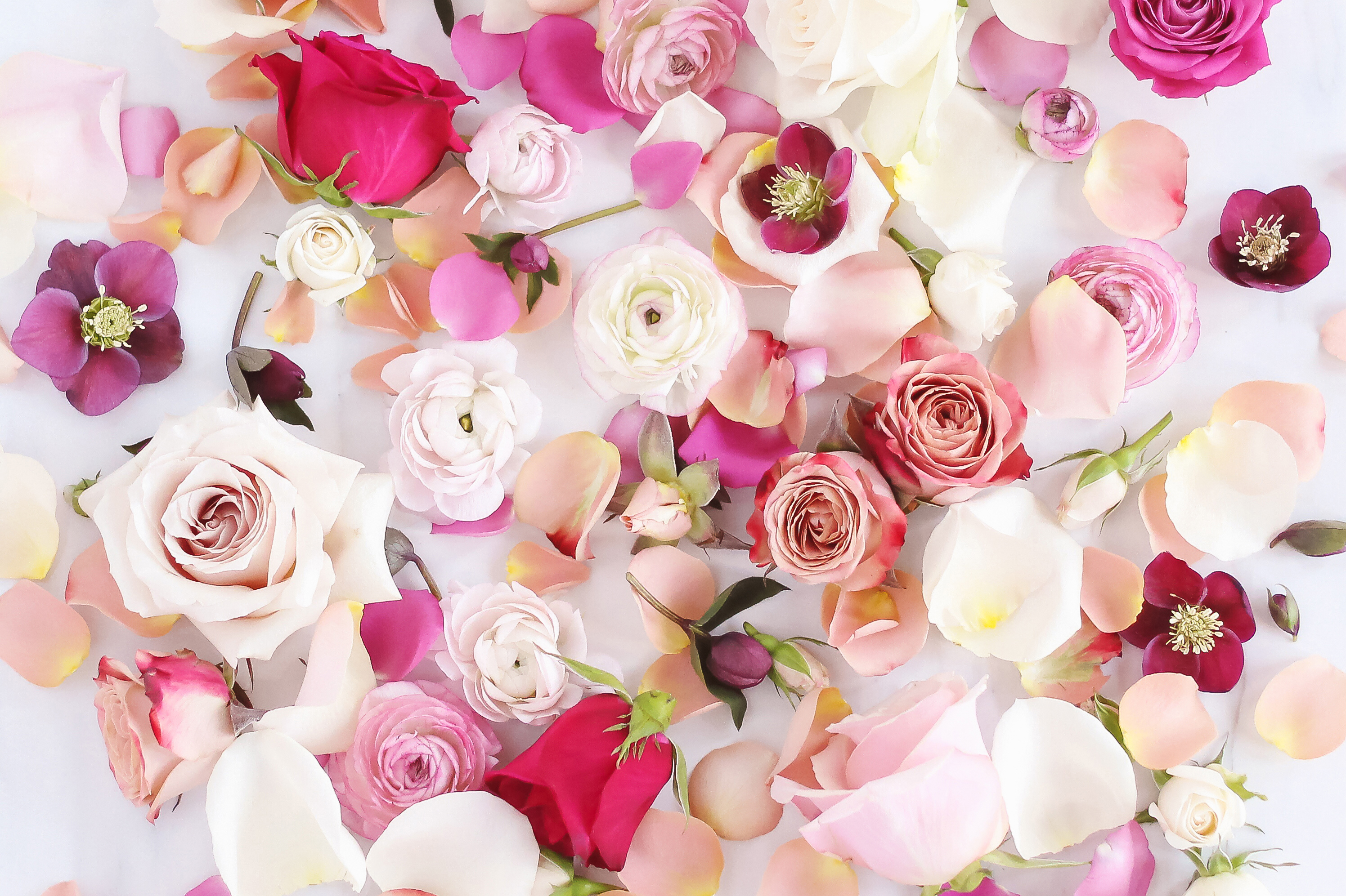 Digital blooms february free desktop wallpaper