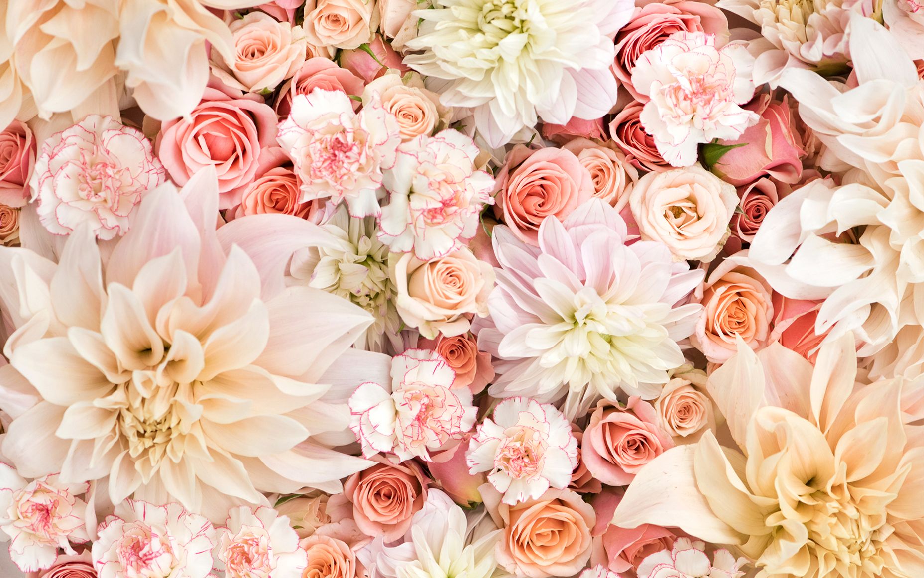 Floral desktop wallpapers