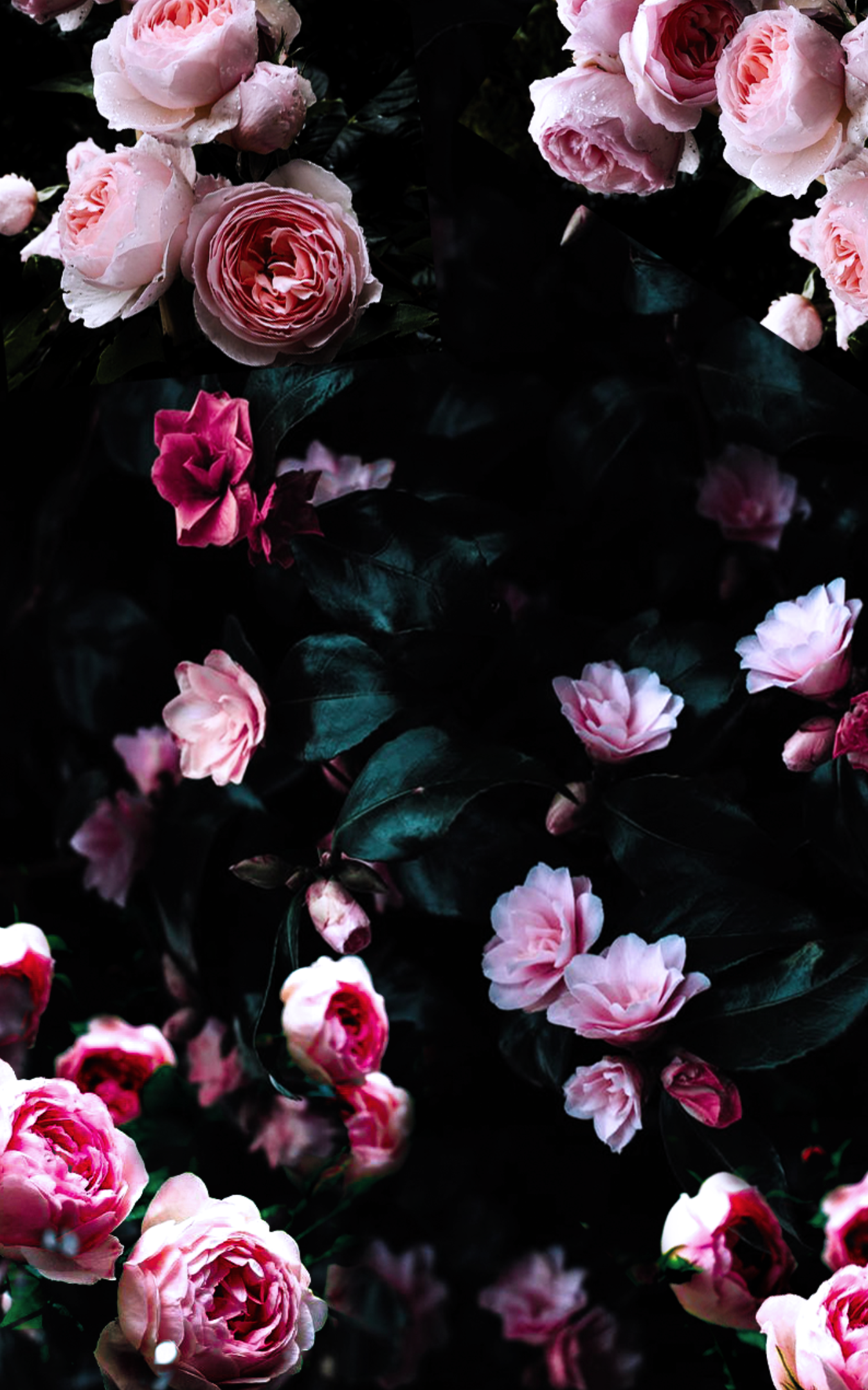 Dark floral wallpapers