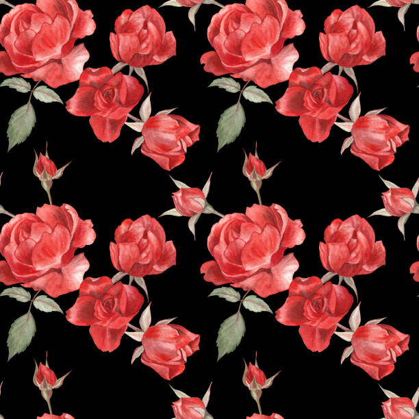 Red flower black background illustrations clip art