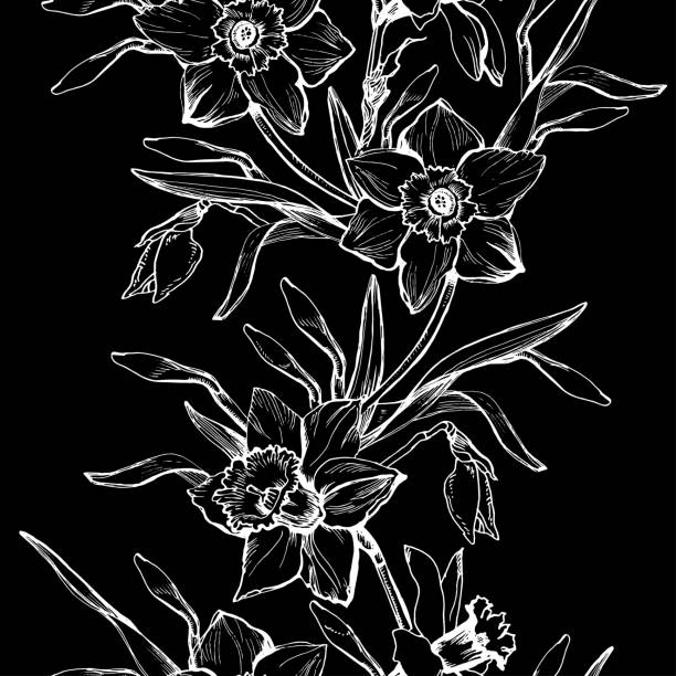 Flower black background illustrations clip art