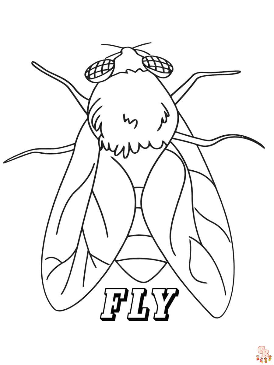 Prinatble fly coloring pages free for kids and adults