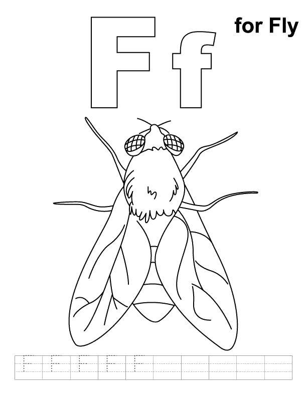 Online coloring pages coloring page m fly english alphabet download print coloring page