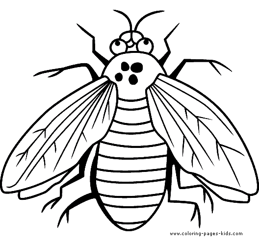 Fly coloring pages for kids coloring pages animal coloring pages super coloring pages