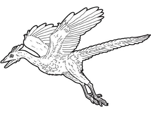 Flying dinosaur coloring pages dinosaurs pictures and facts dinosaur coloring pages dinosaur coloring sheets animal coloring pages