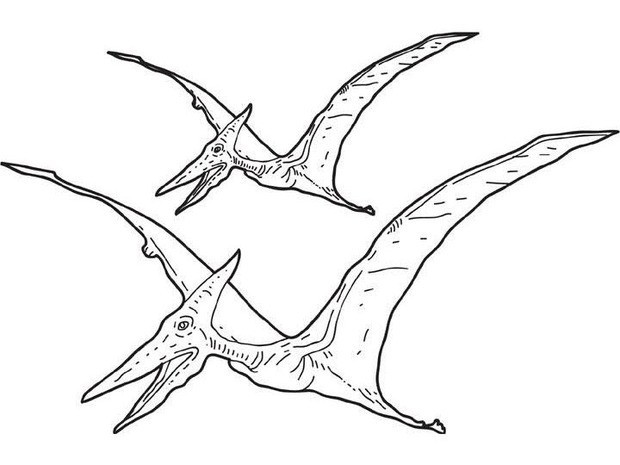 Pterosaur coloring pages