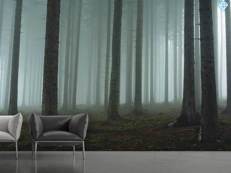 Wall mural photo wallpaper foggy forest orr now