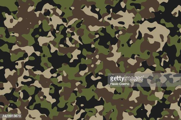 Camouflage photos and premium high res pictures