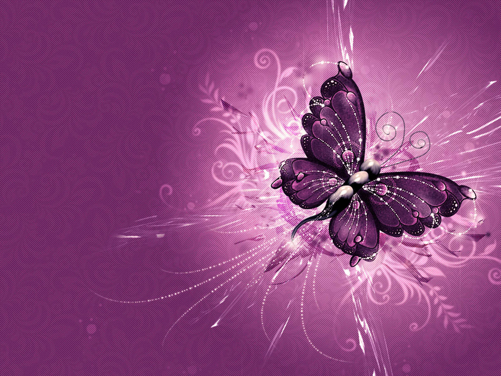 Free live wallpaper magic butterfly