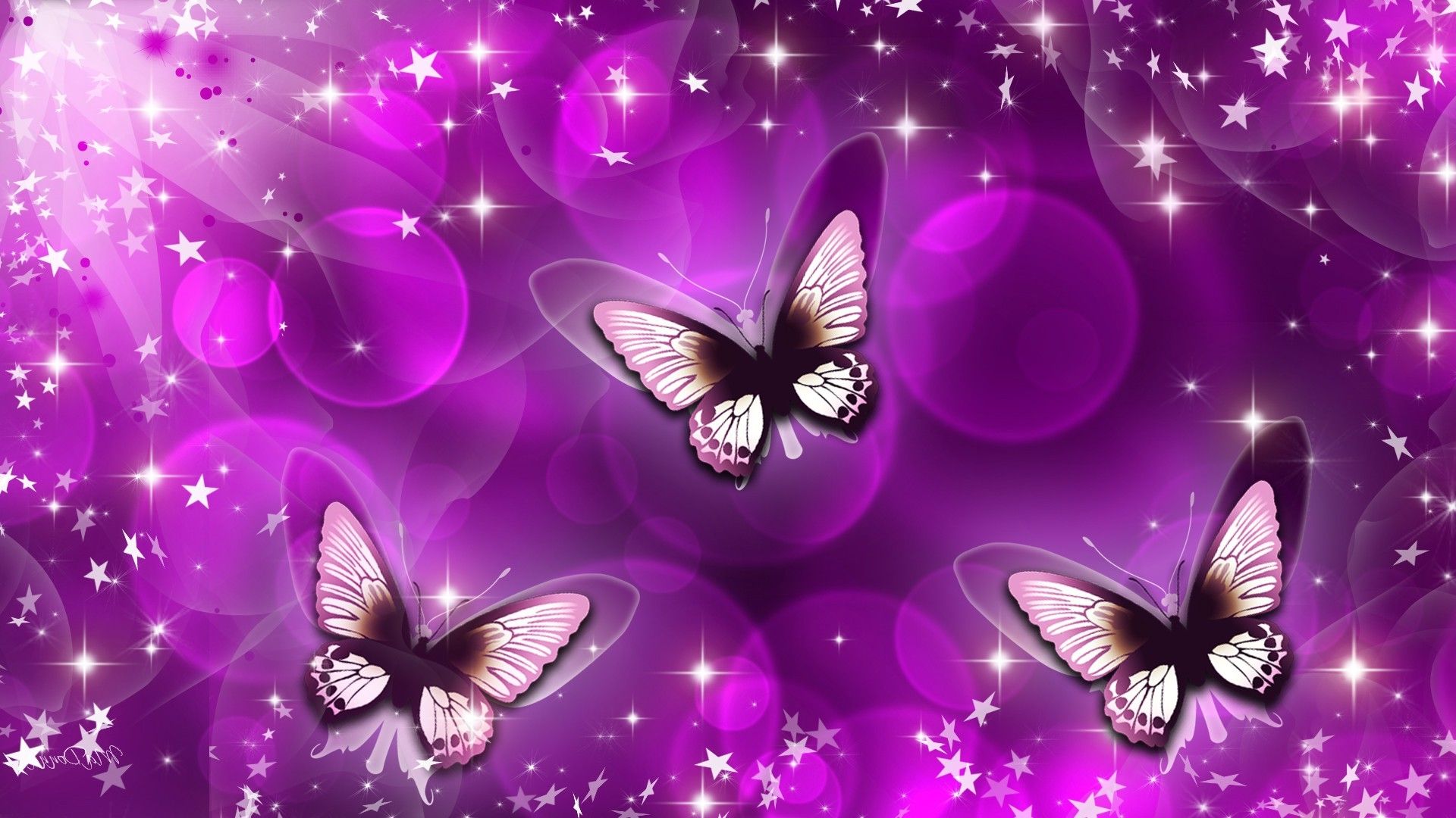 Animation butterfly wallpapers