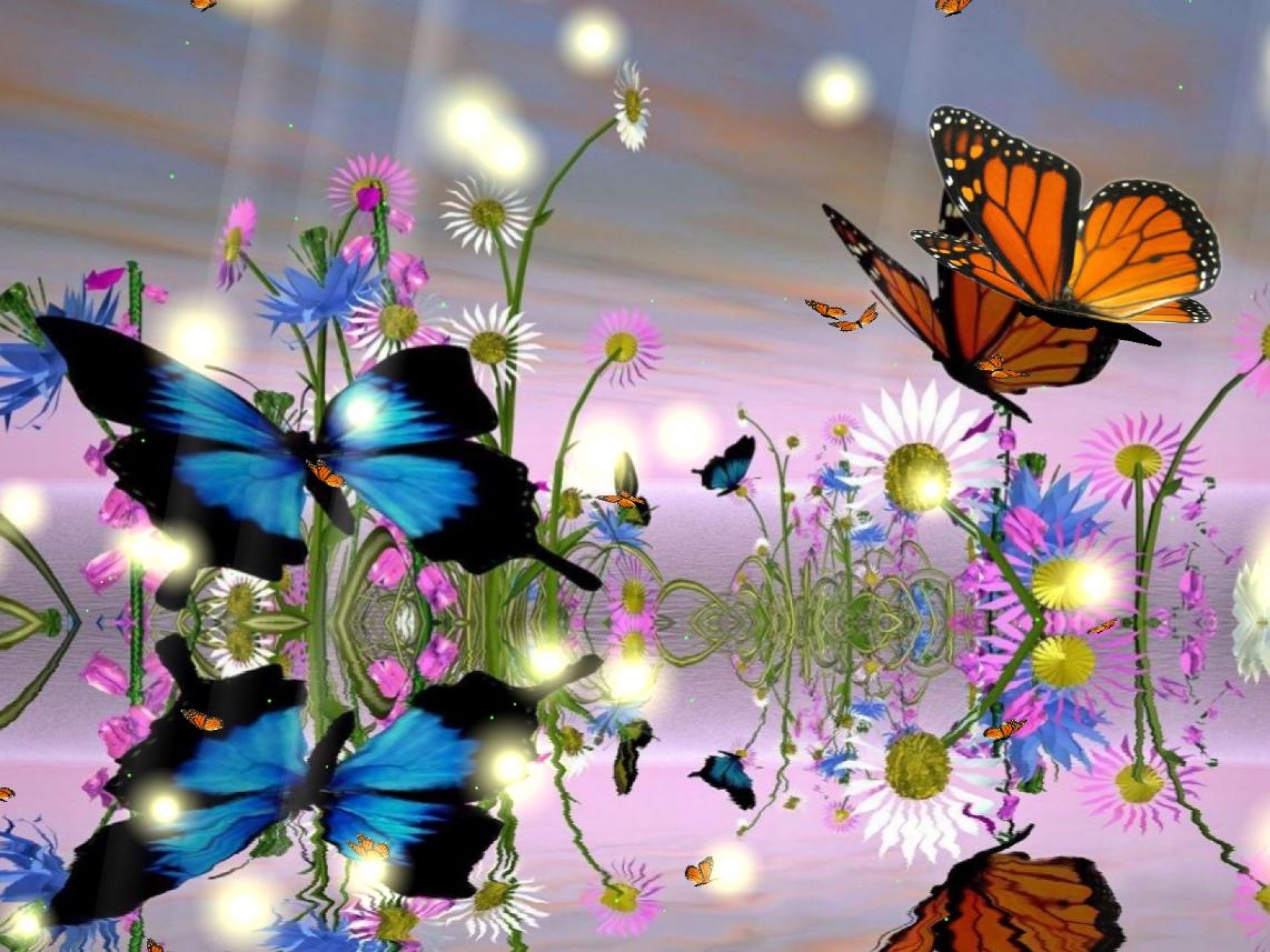 Butterfly desktop wallpaper tags animated butterflies animated butterflies desktop â butterfly wallpaper free flower wallpaper butterfly wallpaper backgrounds