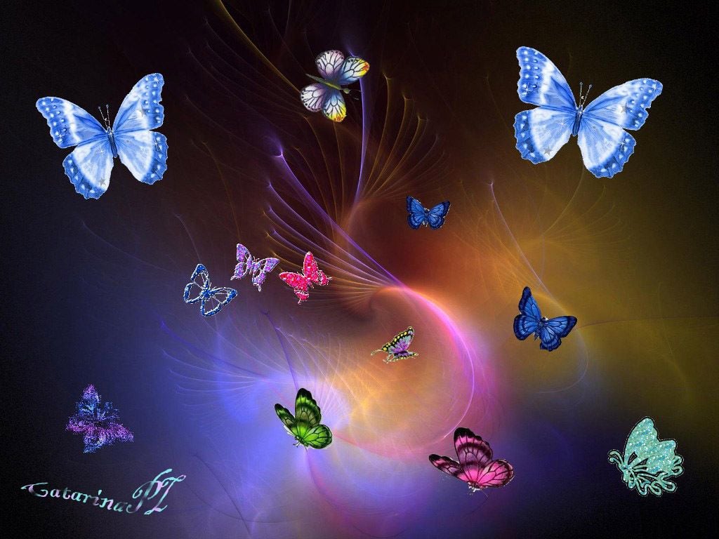 Animated butterfly hd wallpapers
