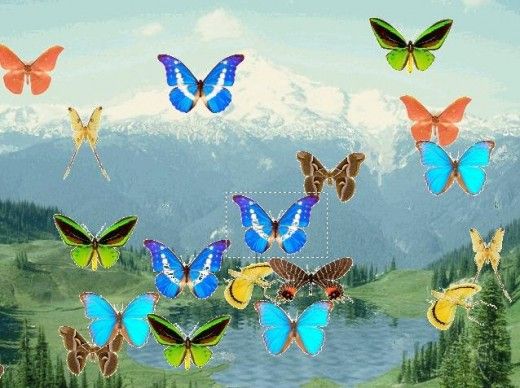 Tun of butterflies animated screensavers butterfly wallpaper backgrounds butterfly photos