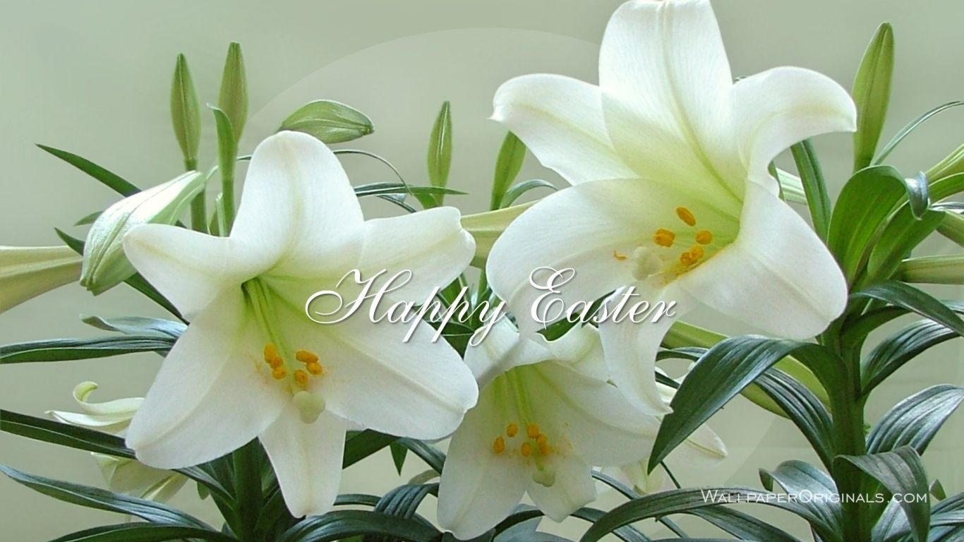Christian easter flowers wallpapers