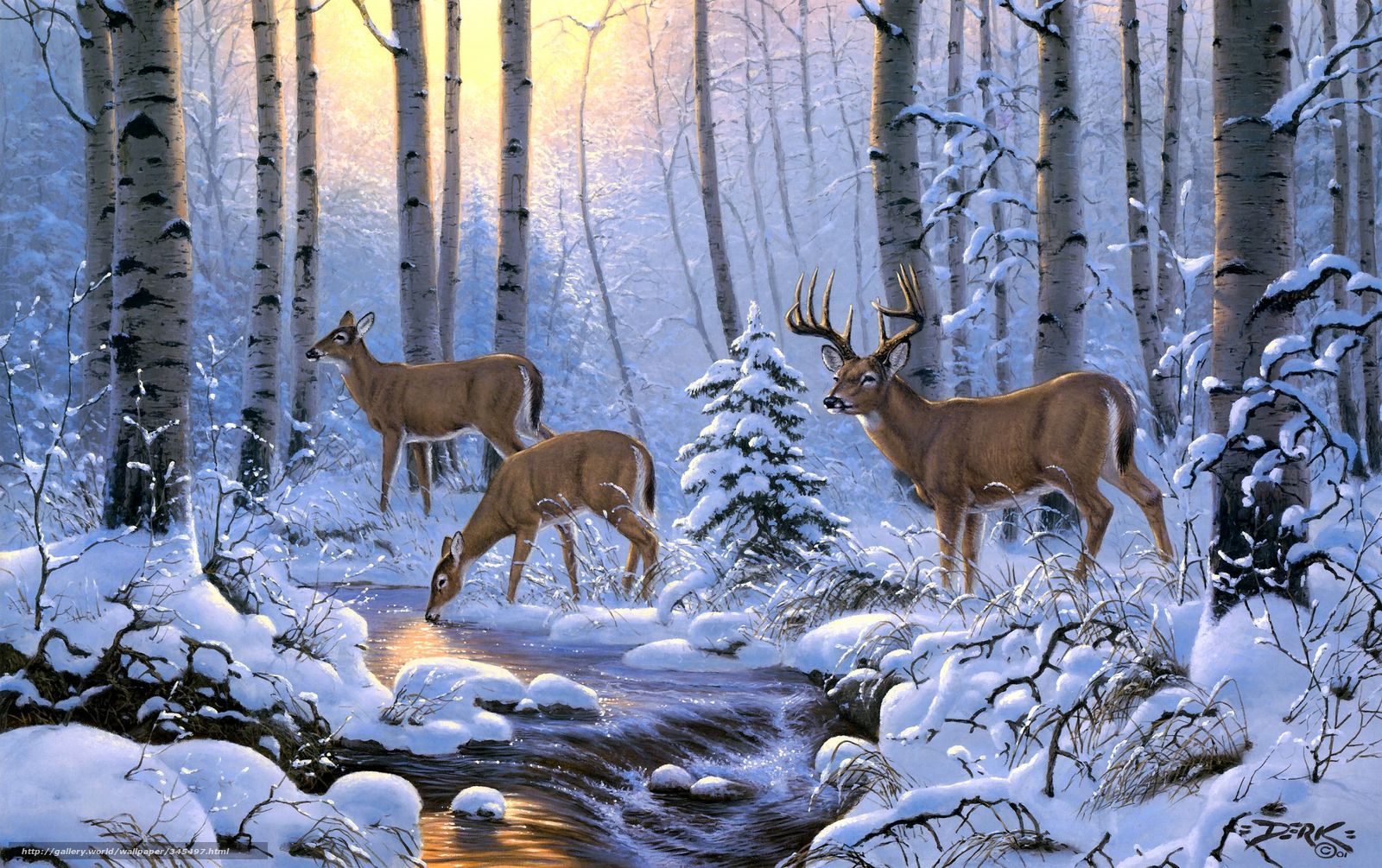 Free download free deer wallpaper for puter on x for your desktop mobile tablet explore snow and deer wallpapers free deer screensavers and wallpaper free deer wallpaper