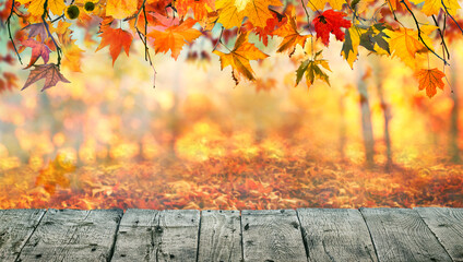 Free fall background photos images