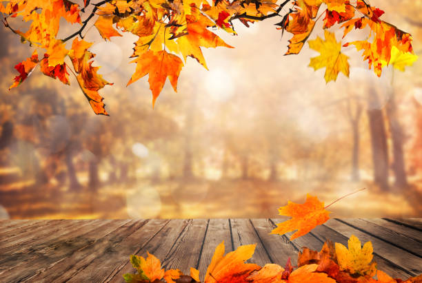 Wooden table with orange leaves autumn background stock photo