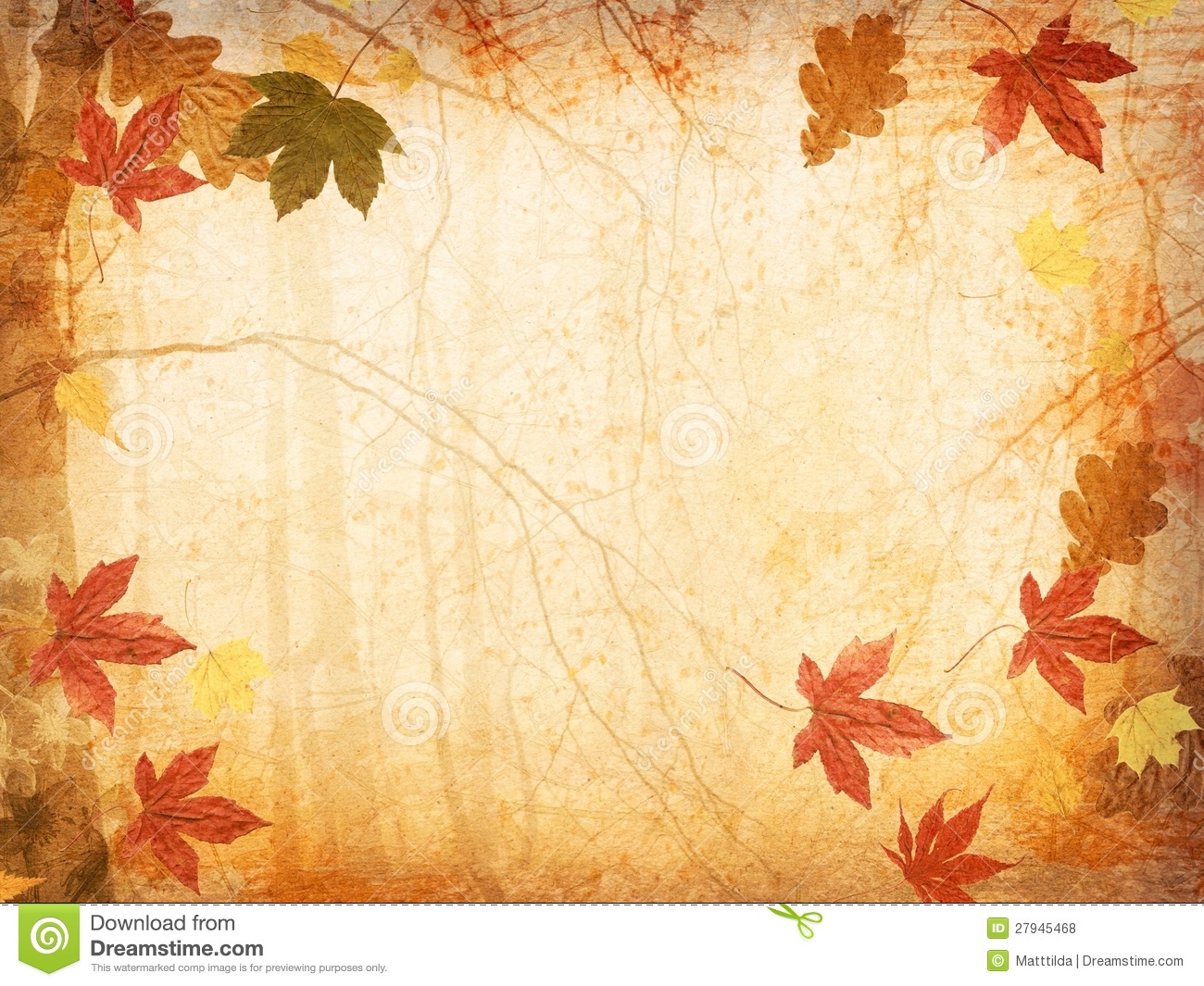 Fall leaves background stock photo image of autumn leave