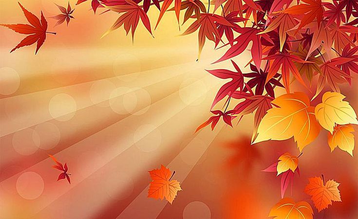 Free fall wallpapers and backgrounds for all your devices free fall wallpaper fall wallpaper cute fall wallpaper