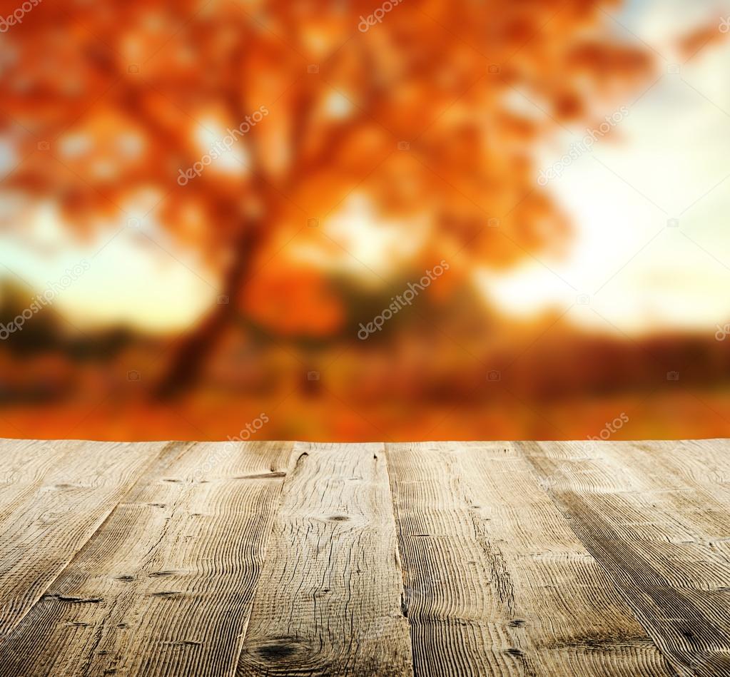 Fall background stock photos royalty free fall background images