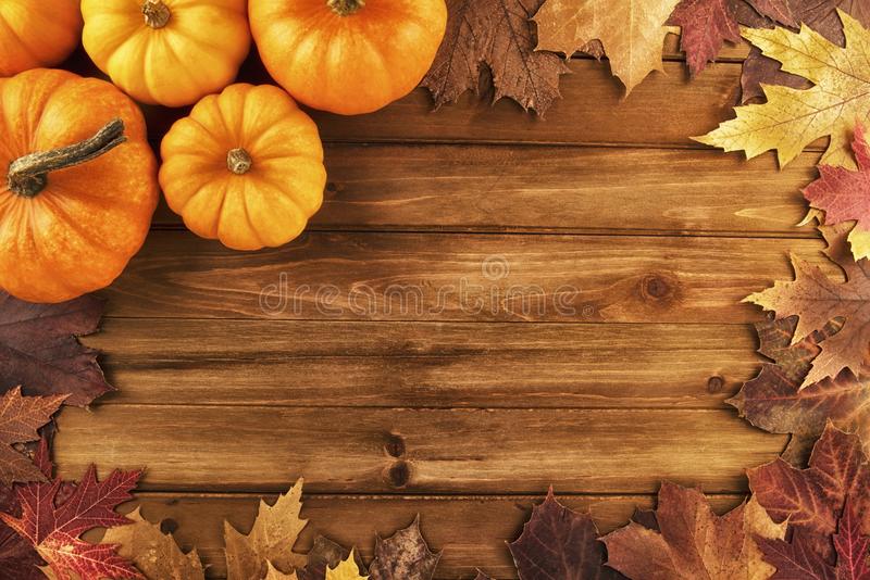 Pumpkins with fall leaves over wooden background top view stock photo