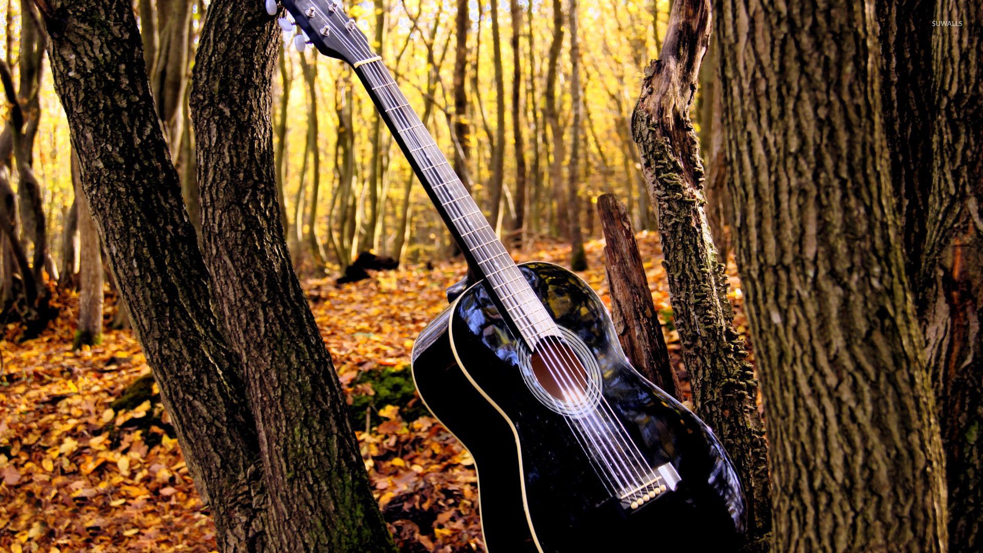 Country guitar wallpapers