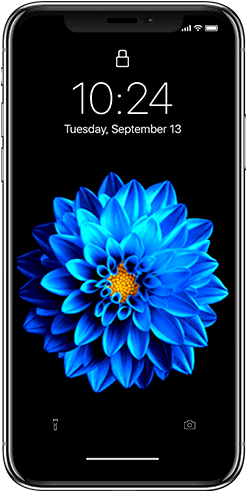 Download hd best unique animated live wallpapers for your iphone