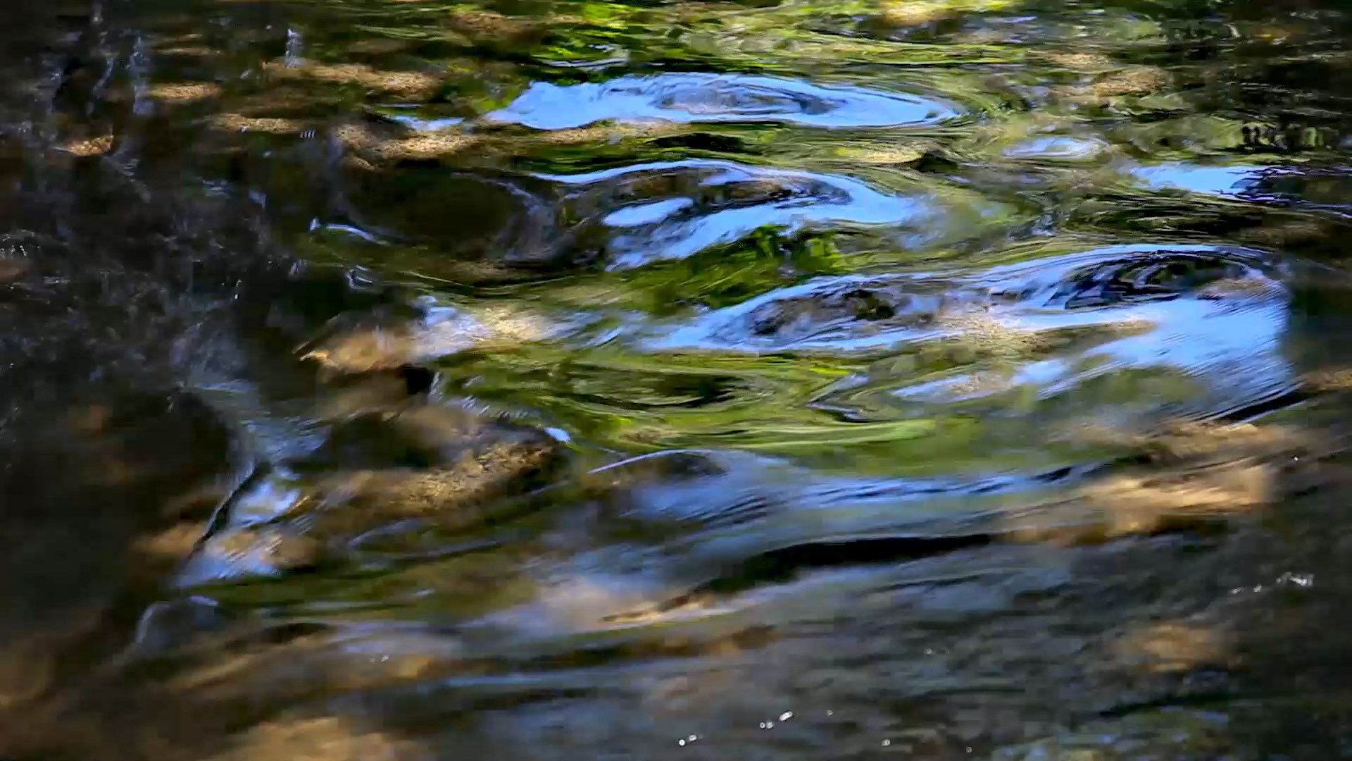 Flowing water live wallpapers