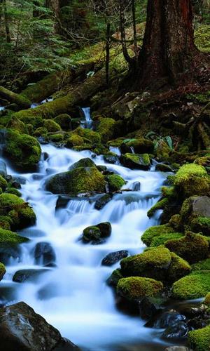 Moving water live wallpaper apk for android download