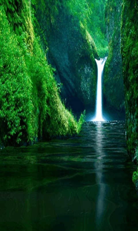 Free amazing waterfall live wallpaper apk download for android