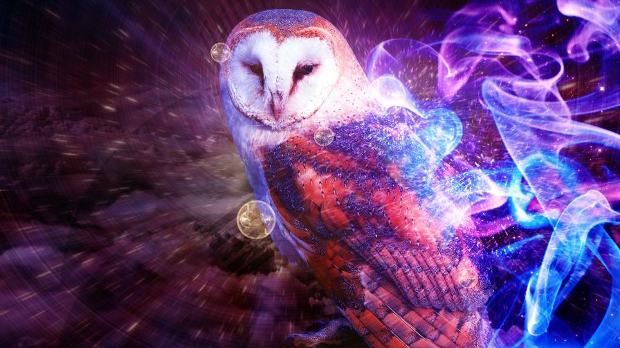 Free cute colorful owl wallpaper for desktop and mobiles