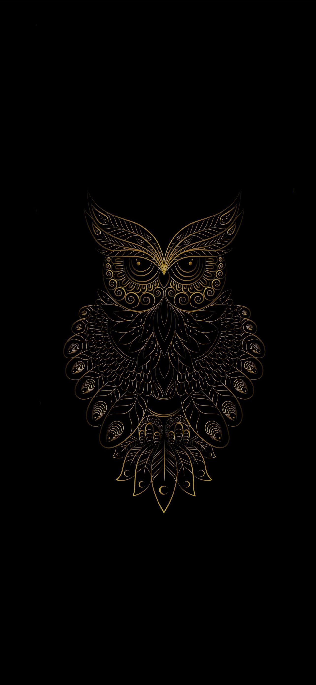 Best owl iphone hd wallpapers