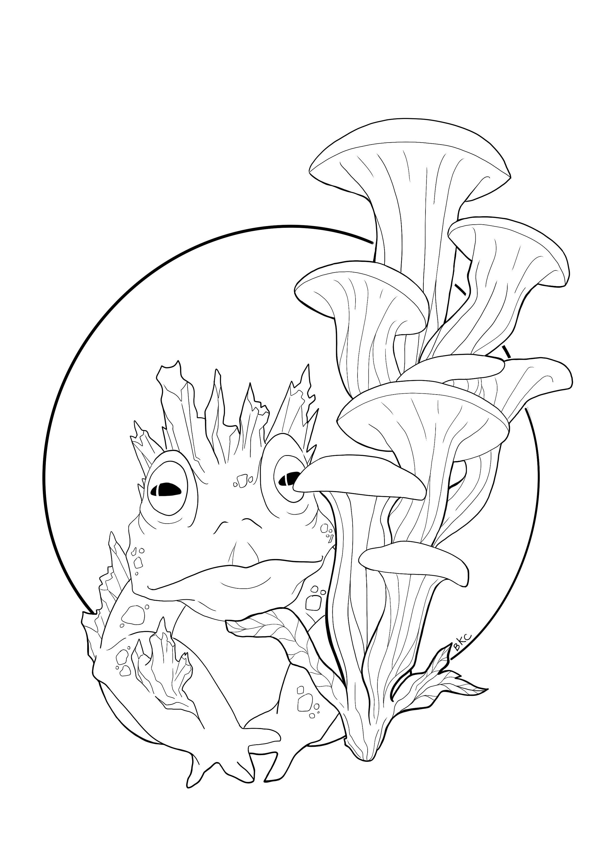 Crystal frog coloring page coloring book pages for adults and kids coloring sheets coloring designs