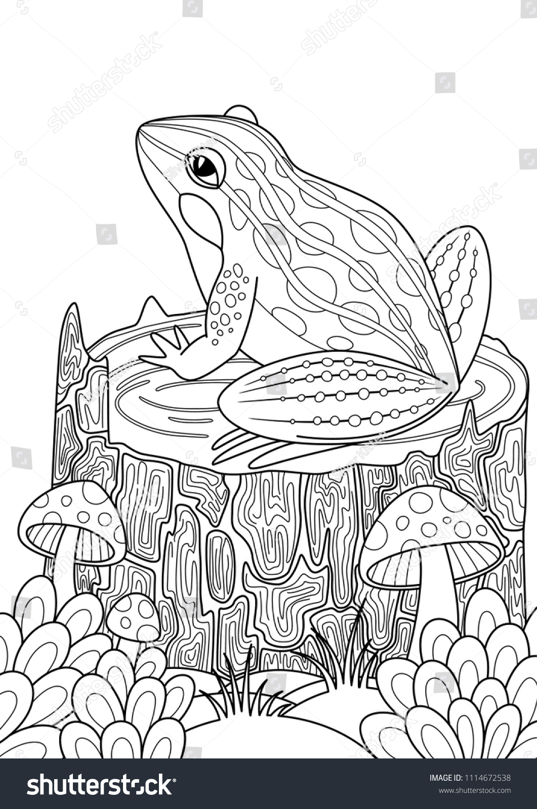 Vector doodle coloring book page frog stock vector royalty free