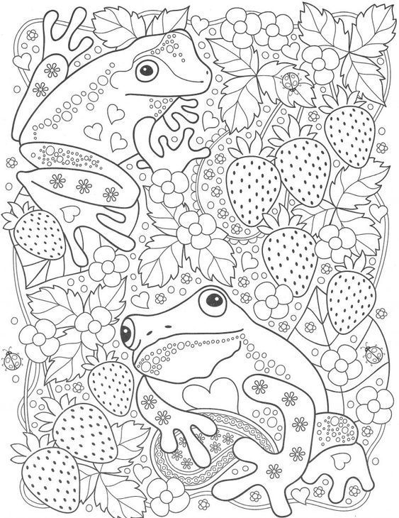 Omeletozeu frog coloring pages detailed coloring pages coloring books