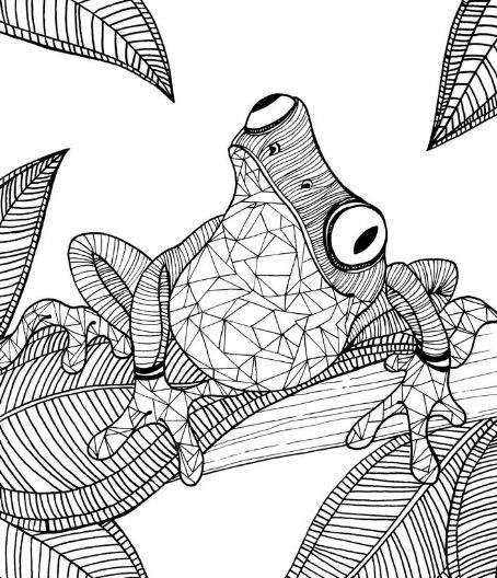 Adult coloring pages frog animal patterns frog coloring pages adult coloring pages coloring pages