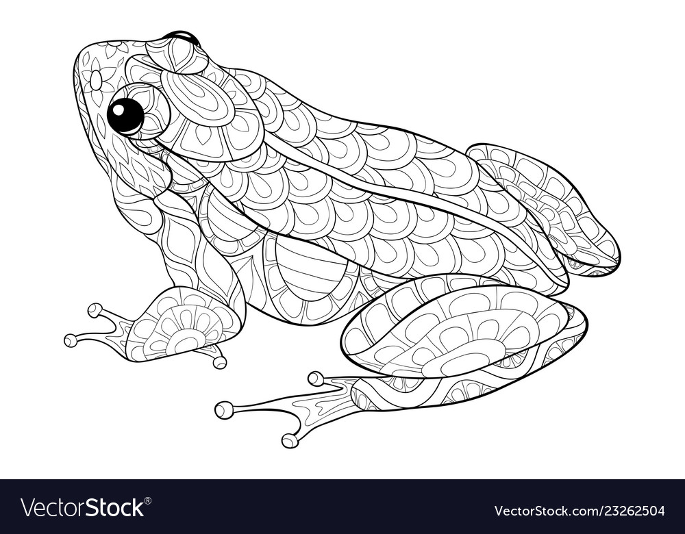 Adult coloring bookpage a cute frog image vector image