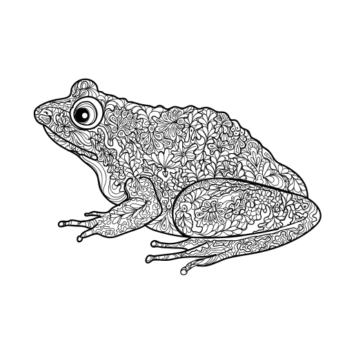 Free frog adult coloring page