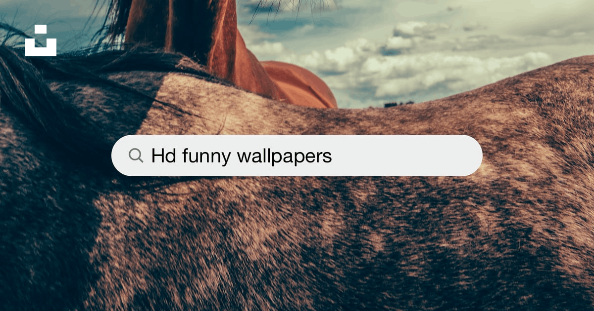 Funny wallpapers free hd download hq