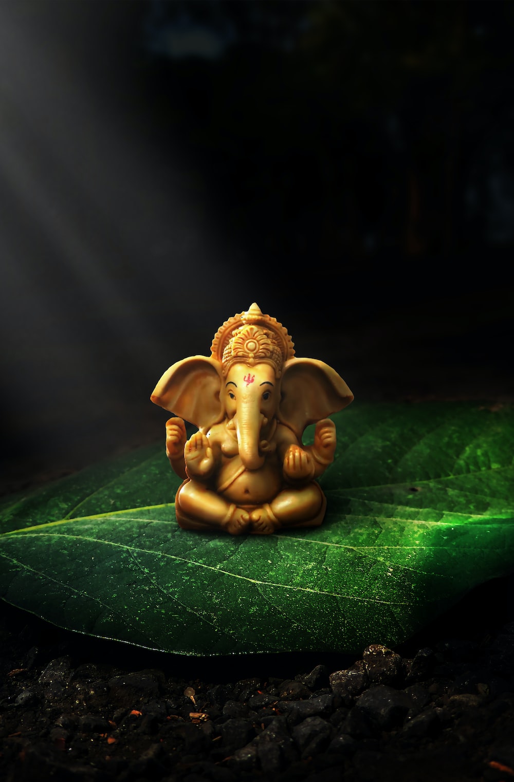 Ganesh chaturthi pictures download free images on