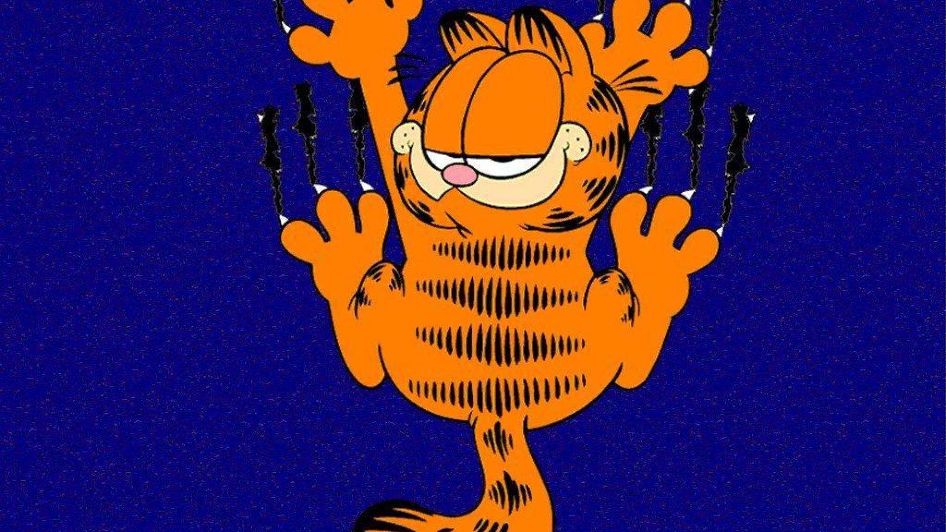 Garfield wallpaper hd