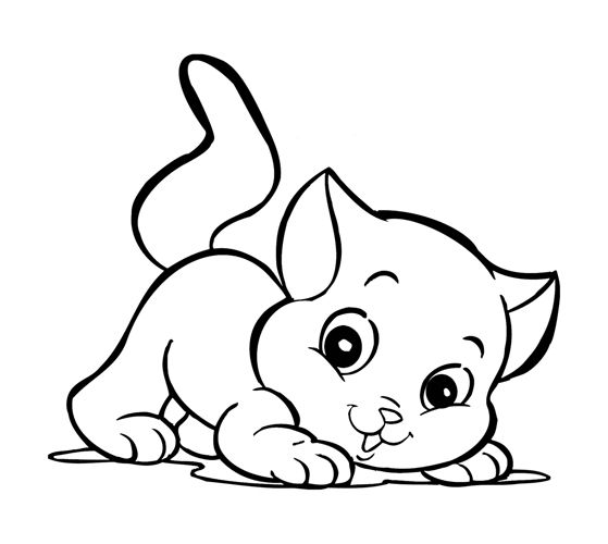Para imprimir de un gato gatito para colorear animalitos para colorear dibujos de animales