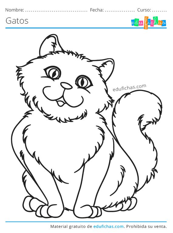 Dibujos para colorear de gatos gatito para colorear dibujos de gatos gatos