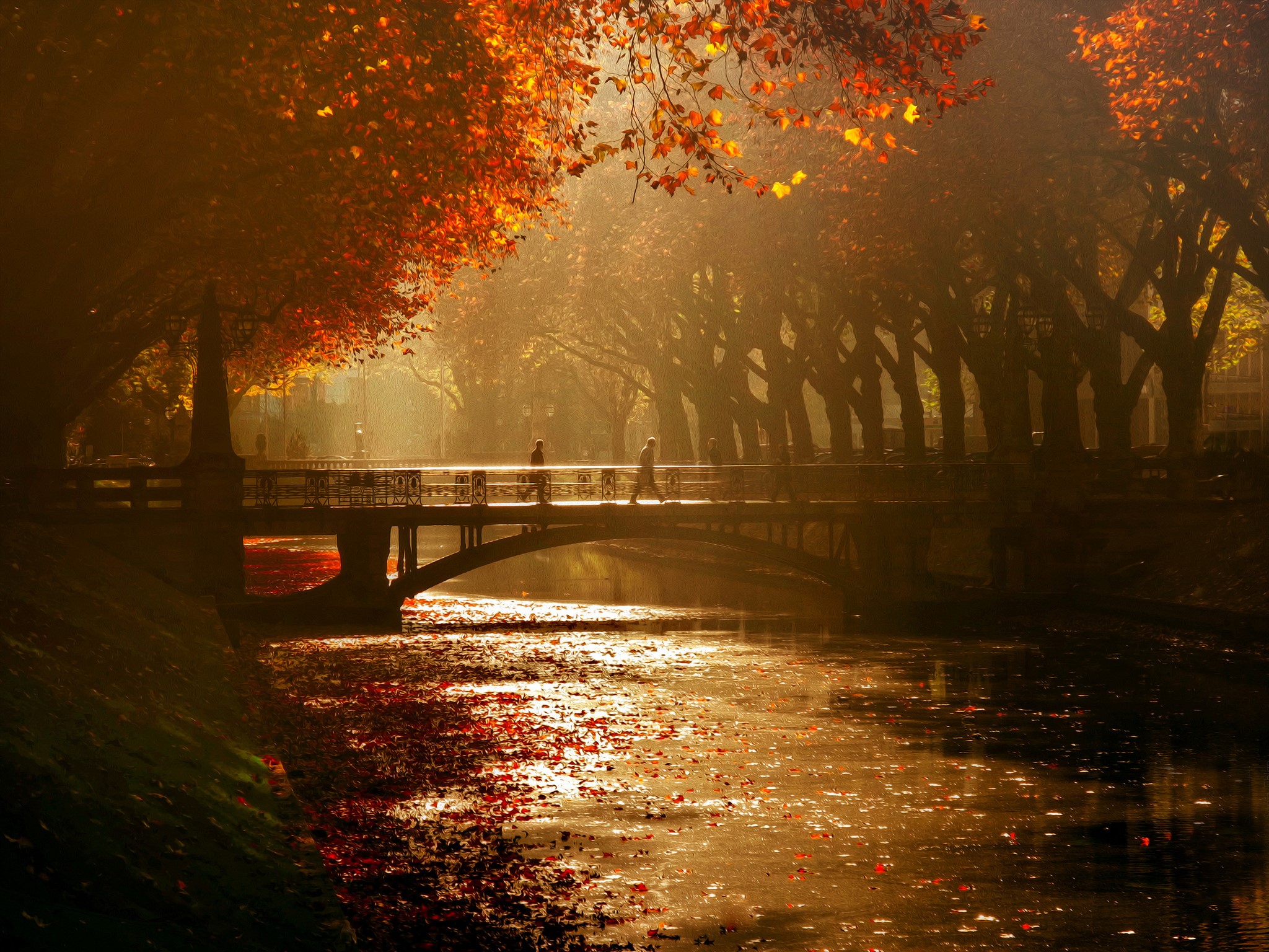 Germany bridges rivers autumn