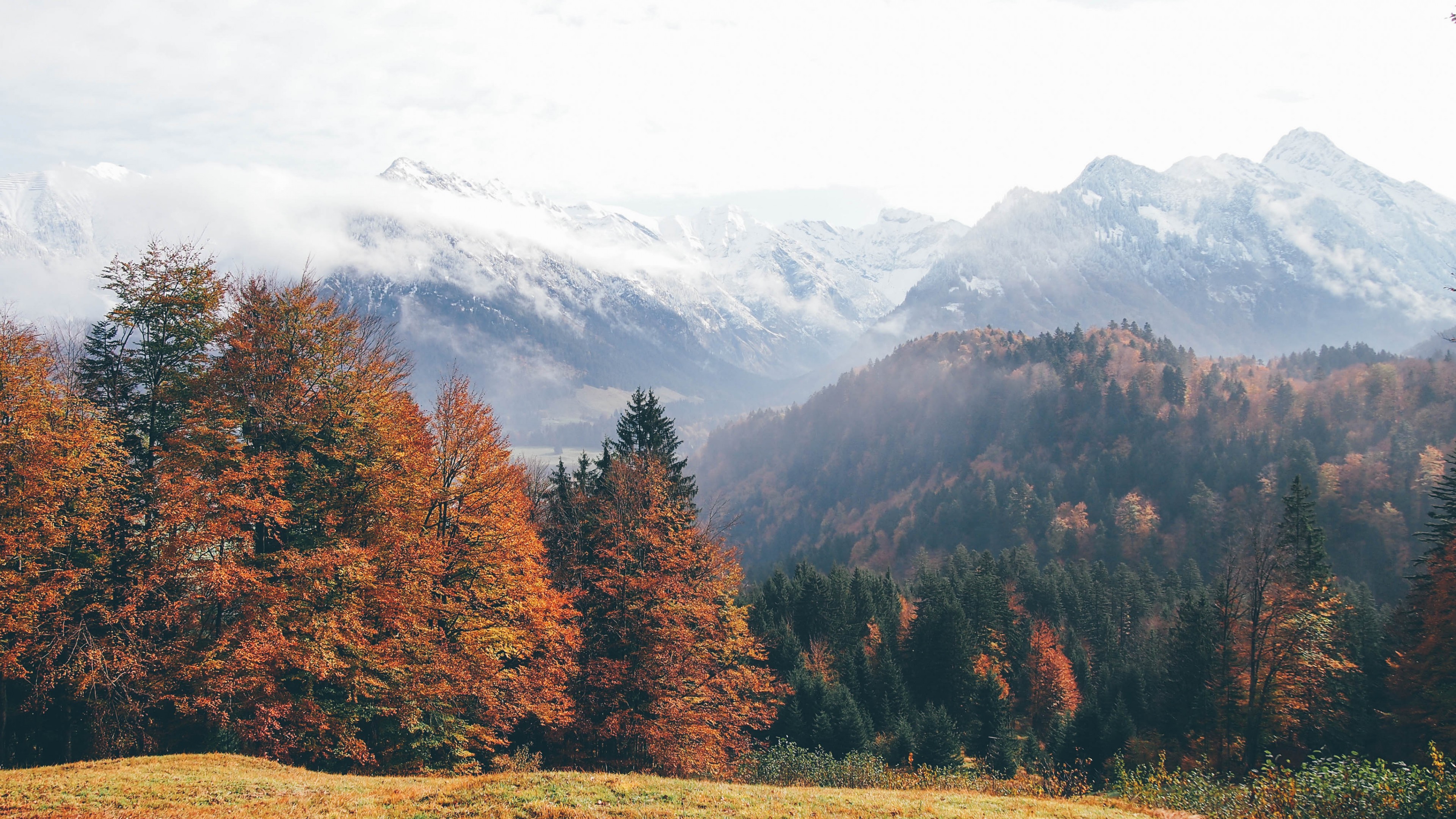 Wallpaper oberstdorf germany mountains autumn forest k nature