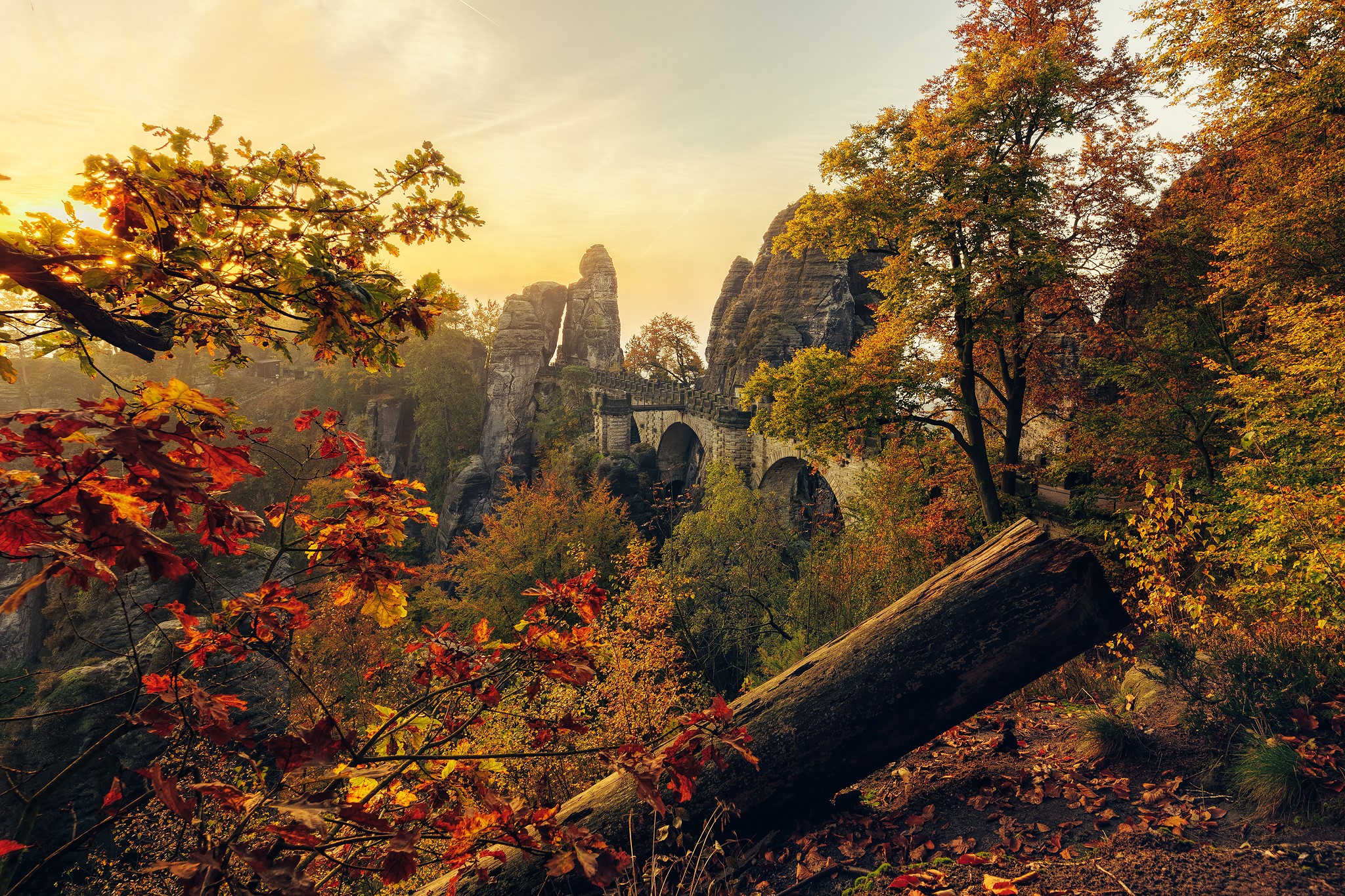Saxony germany autumn crag branches trees foliage