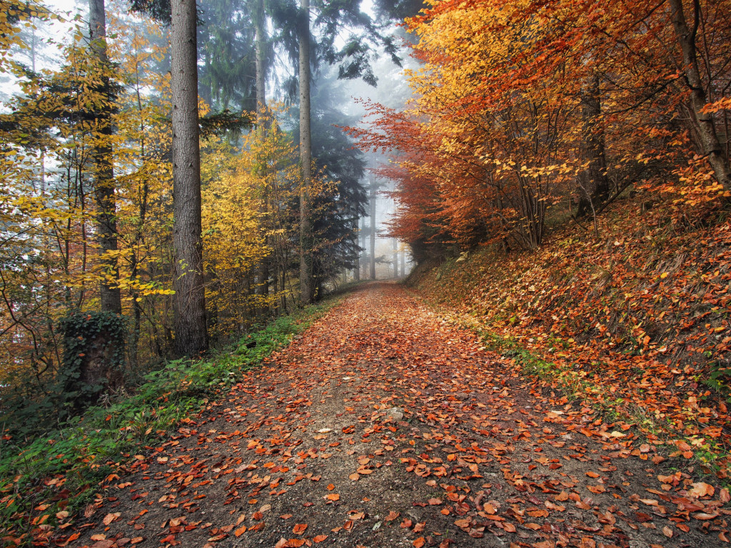 Download wallpaper how nature looks autumn in kirchzarten germany x